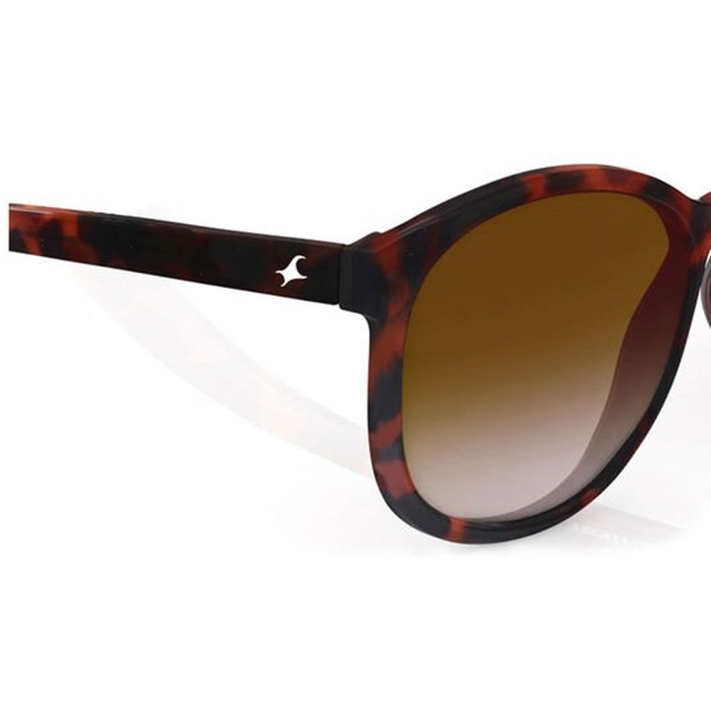 Brown Bugeye Women Sunglasses