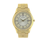 Titan Champagne Dial Analog Watch for Men 1713YM03