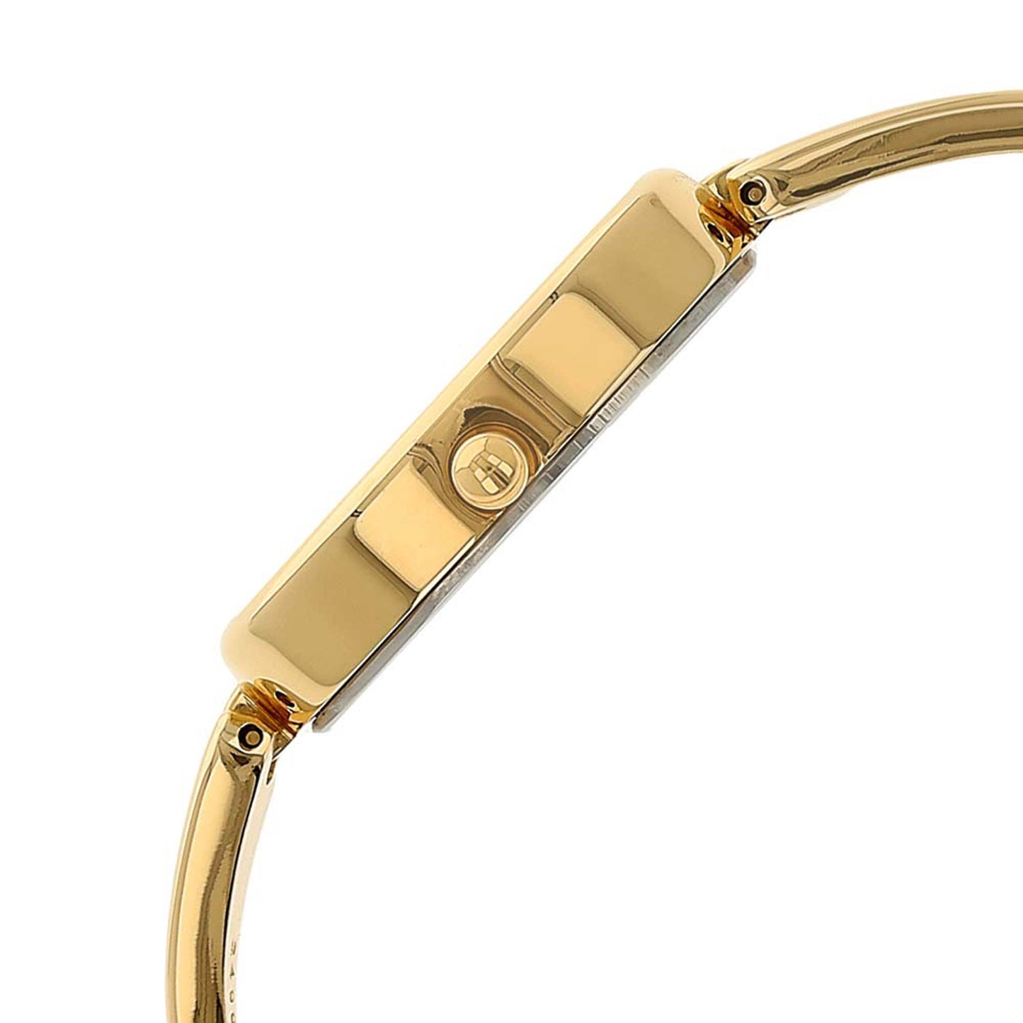 Titan Quartz Analog Brown Dial Metal Strap Watch for Women