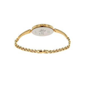 Titan Quartz Analog Brown Dial Metal Strap Watch for Women