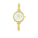 Titan Raga Viva Champagne Dial Analog Strap watch for Women