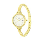 Titan Raga Viva Champagne Dial Analog Strap watch for Women