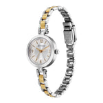 gold and silver women's watch
