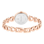 Titan Lagan Brown Dial Analog Metal Strap Watch for Women