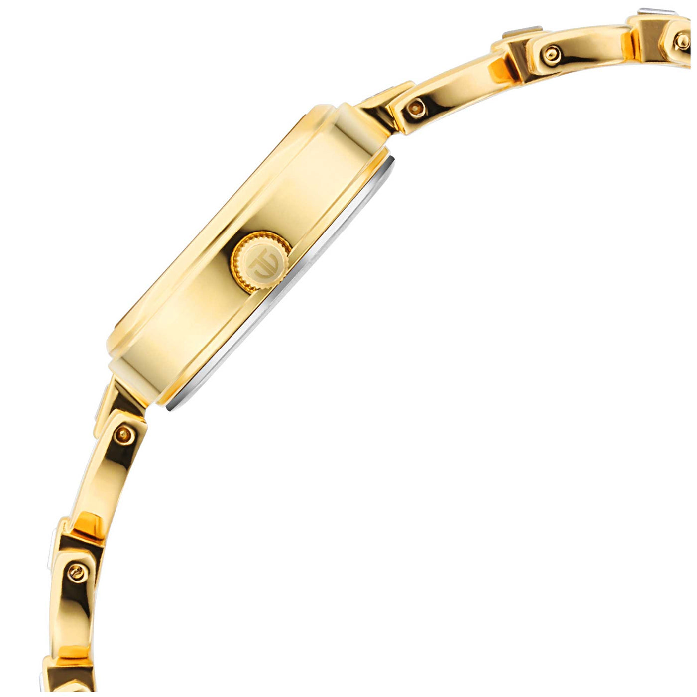 Titan Lagan Silver Dial Analog Metal Strap Watch for Women