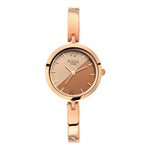 Titan Raga Viva Bicolour Dial Women Watch With Metal Strap
