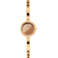 Titan Raga Viva Bicolour Dial Women Watch With Metal Strap