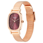 Titan Raga Viva Brown Dial Analog Stainless Steel Strap Watch for Women