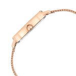 Titan Raga Viva Brown Dial Analog Stainless Steel Strap Watch for Women