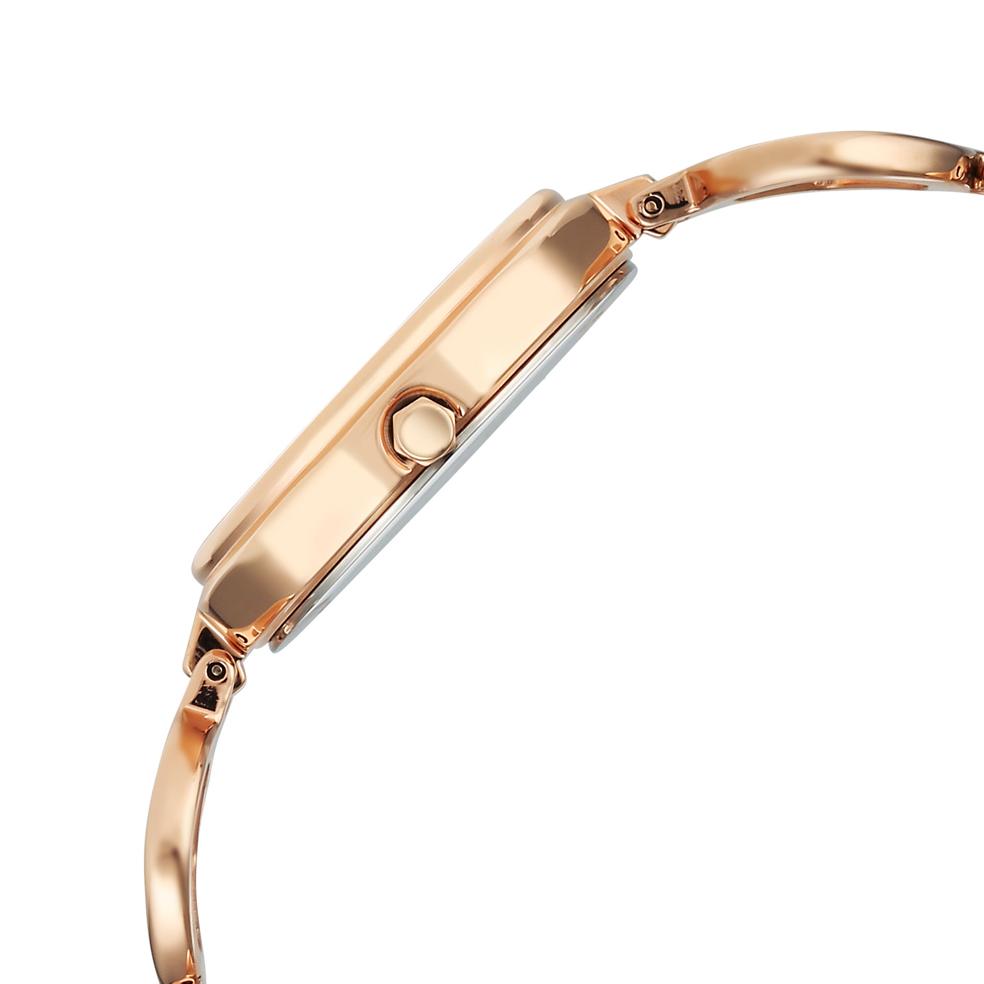 Titan Raga Rose Gold Dial Metal Strap Analog Watch for Women  2685WM01