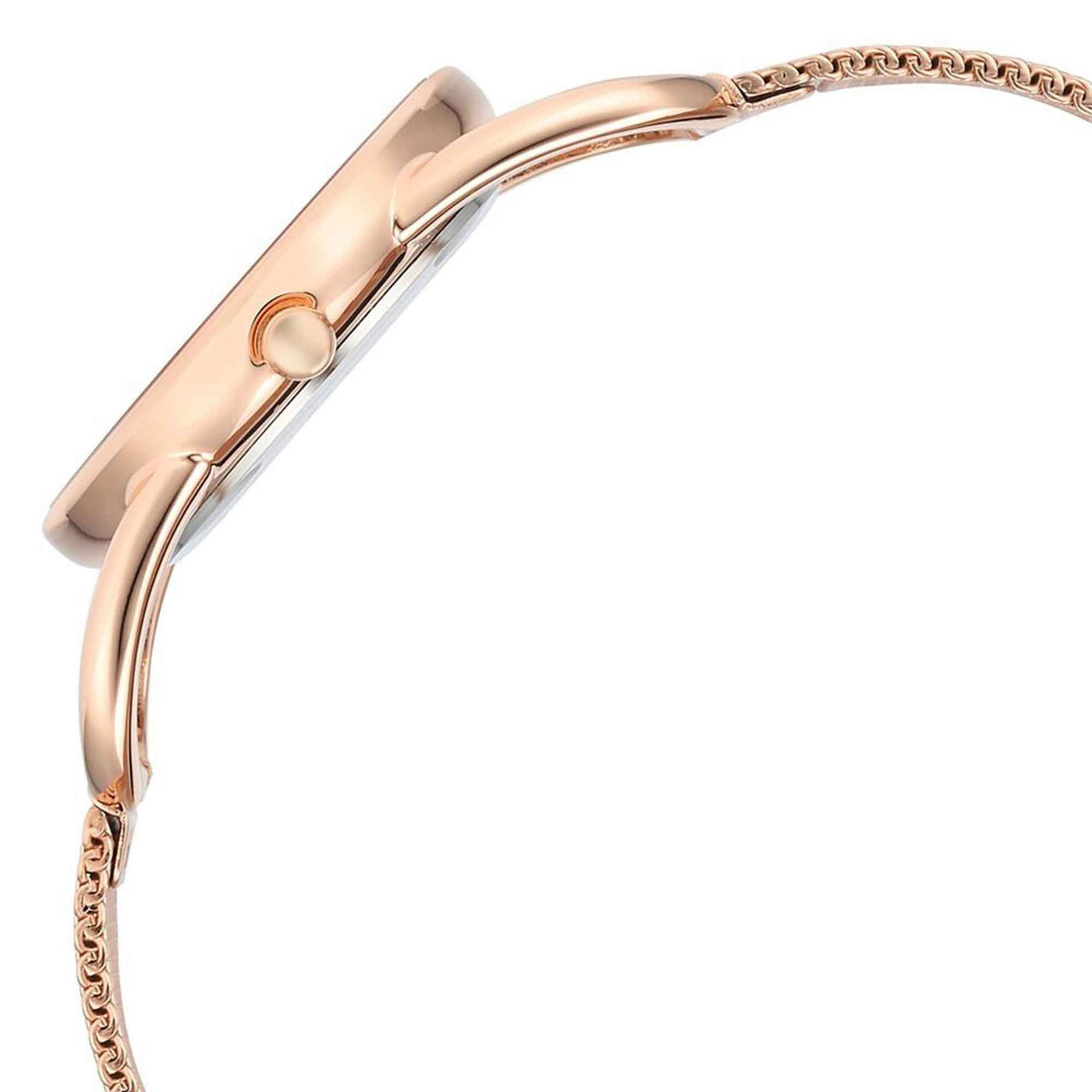 Titan Raga Chic Quartz Analog Pink Dial Metal Strap Watch for Women