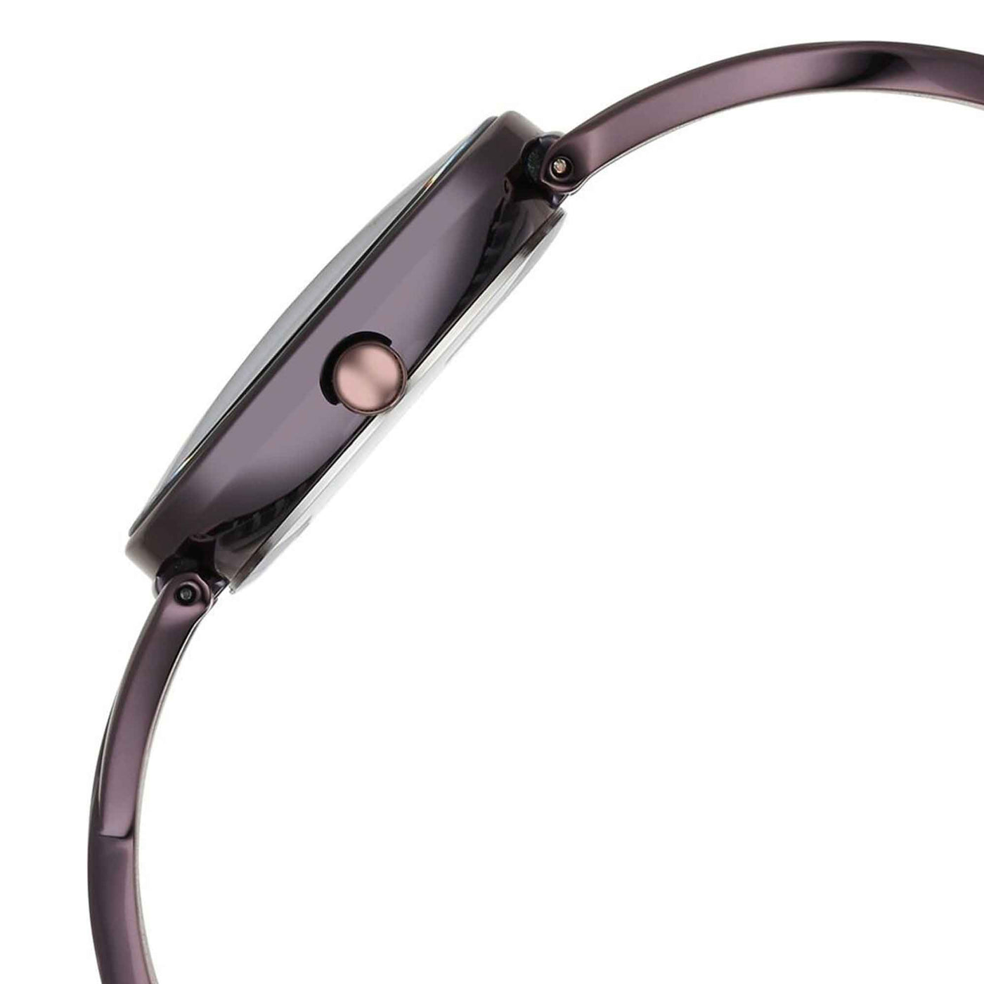 Titan Raga Chic Quartz Analog Brown Dial Metal Strap Watch for Women