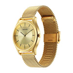 Sota Quartz Alog Champagne Dial Watch for Men