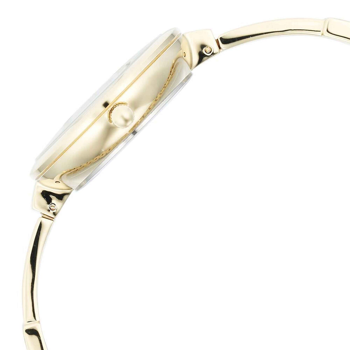 Titan Raga Mother of Pearl Dial Golden Metal Strap Analog Watch for Women