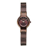 Titan Raga Glimmers Brown Dial Metal Strap Analog Watch for Women