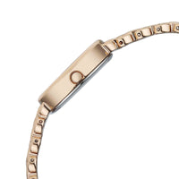Titan Raga Silver Special Dial Rose Gold Metal Strap Analog Watch for Women