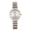 Titan Raga Silver Dial Two Toned Metal Strap Analog Watch for Women