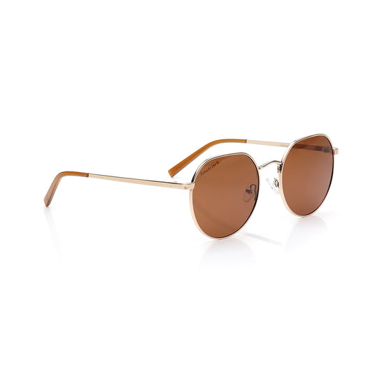 Fastrack Brown Round  Sunglasses for Unisex