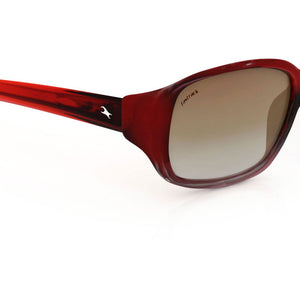 Purple Bugeye Women Sunglasses