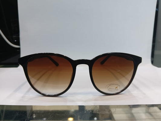 Brown Round Unisex Sunglasses P469BR2V