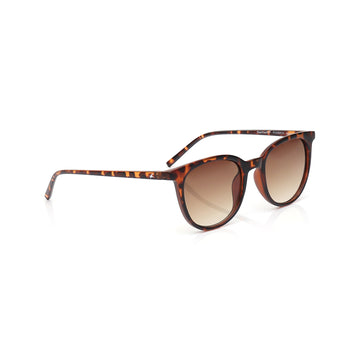 Fastrack Brown Cateye Sunglasses for Women