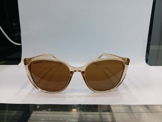 Brown CAT EYE Women Sunglasses P473BR3V