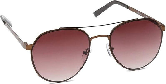 Brown Aviator Men Sunglasses